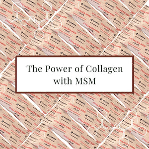 The Power of Collagen with MSM